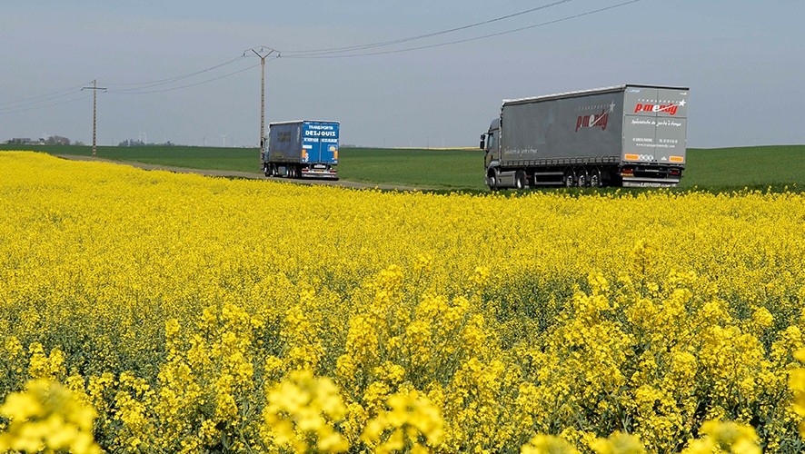 Trucks on a road next to a rapeseed field - Groupe Avril