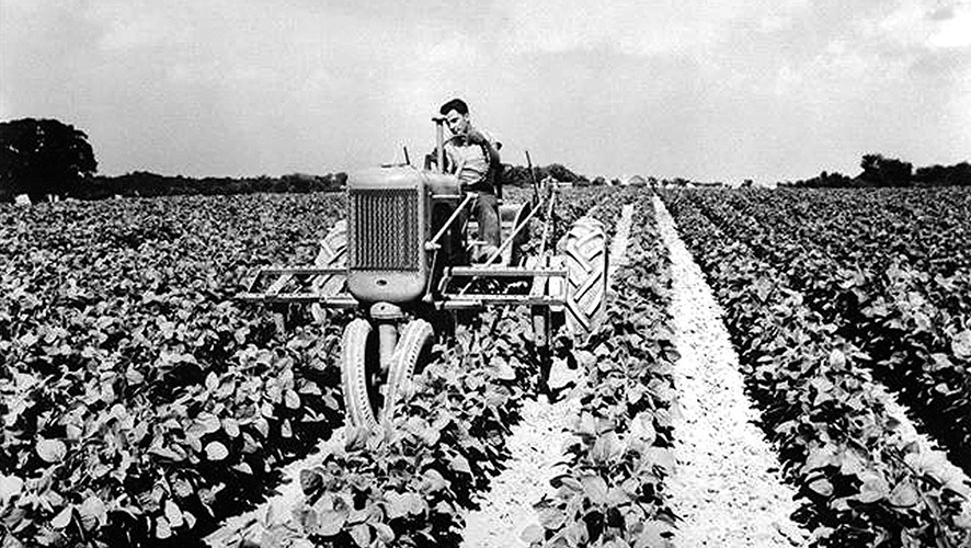 Vieille photo d'un vieux tracteur dans un champ agricole - Groupe Avril