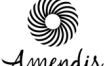 Logo Amendis noir